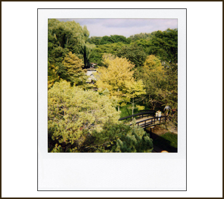 polaroid_green.jpg